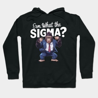 What The Sigma Ironic Brainrot Quote Hoodie